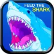 Icon of program: Feed The Shark