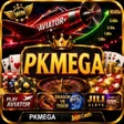 Icon of program: pkMega