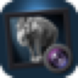 Icon of program: Dramatic Black and White