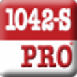 Icono de programa: 1042-S Pro Professional E…
