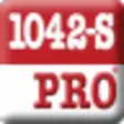Icon of program: 1042-S Pro Professional E…