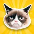 Icon of program: GrumpyBomb - Grumpy Cat P…