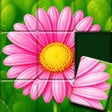 Icono de programa: Jigsort: Solitaire