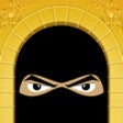 Icon of program: Flinders Ninjas