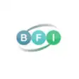 Icon of program: BFI Unternehmensgruppe