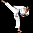 Icono de programa: PocketPT - Shotokan Karat…