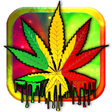 Icon of program: Marijuana Live Wallpaper