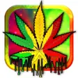 Icon of program: Marijuana Live Wallpaper