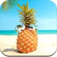 Icon of program: Pineapple Wallpaper HD