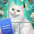Icon of program: Jig Club: Solitaire