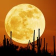 Icon of program: Planet Finder for iPhone
