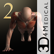 Icono de programa: iMuscle 2