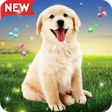Icon of program: Animals Sound Ringtones R…