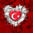 Icon of program: Turkey Dating Chat App. T…