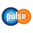 Icon of program: IPRU PULSE