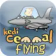 Icon of program: Flying Cemmal