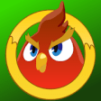 Icon of program: Bird Fighter Match