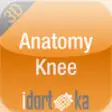 Icon of program: Anatomy Knee