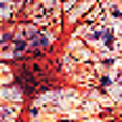 Icon of program: TinnitusTamer
