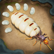 Icon of program: Antpire: Survival
