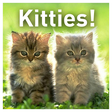 Icono de programa: Kitties