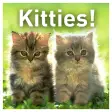 Icon of program: Kitties