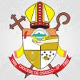 Icon of program: Diocese de Osasco