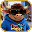 Icono de programa: Tiny Tile Match