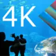 Icon of program: Aquarium Videos 4K