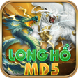 Icon of program: Rất Long Hổ: Trở Lại