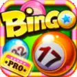 Icon of program: A Bingo Casino Pro