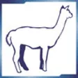 Icon of program: AlpacaSeller