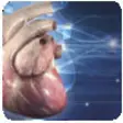 Icon of program: Cardiologa 3D pequeos ani…
