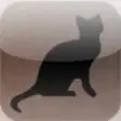 Icon of program: Divorced Plus Cat