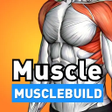 Icon of program: MuscleBuild