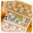 Icon of program: Tambola Number Caller App