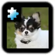 Icon of program: Jigsaw Puzzle: Puppy