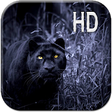 Icon of program: Black Panther Live Wallpa…