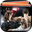 Icon of program: Boxing Gallery HD Sports …