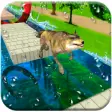 Icon of program: Wild Wolf Water Run