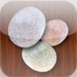 Icon of program: Common Rocks Reference
