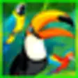 Icon of program: Bird Sounds
