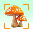 Icon of program: Mushroom Identifier - Shr…