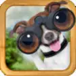 Icon of program: Bible for Dog