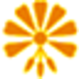 Icon of program: OnlineVNC Server