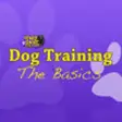 Icon of program: Crazy Daisy Dog Training …
