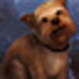Icono de programa: Fierce Tales: The Dog's H…