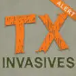 Icon of program: Texas Invaders