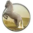 Icon of program: Running Horse HD Wallpape…