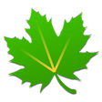 Icono de programa: Greenify (Donation Packag…